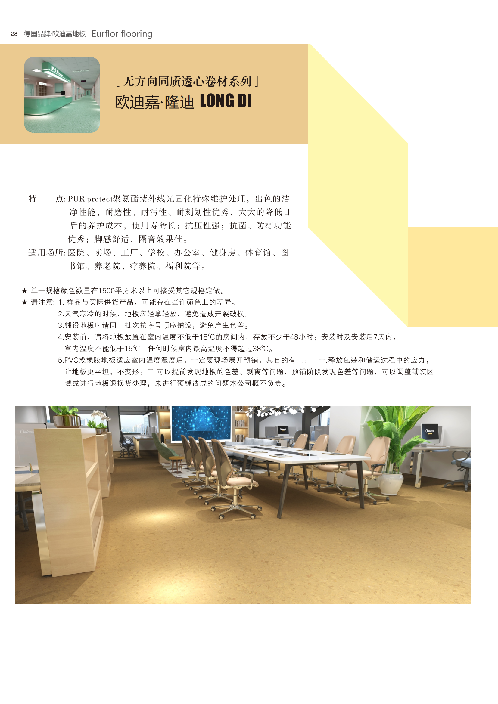 欧迪嘉-隆迪
